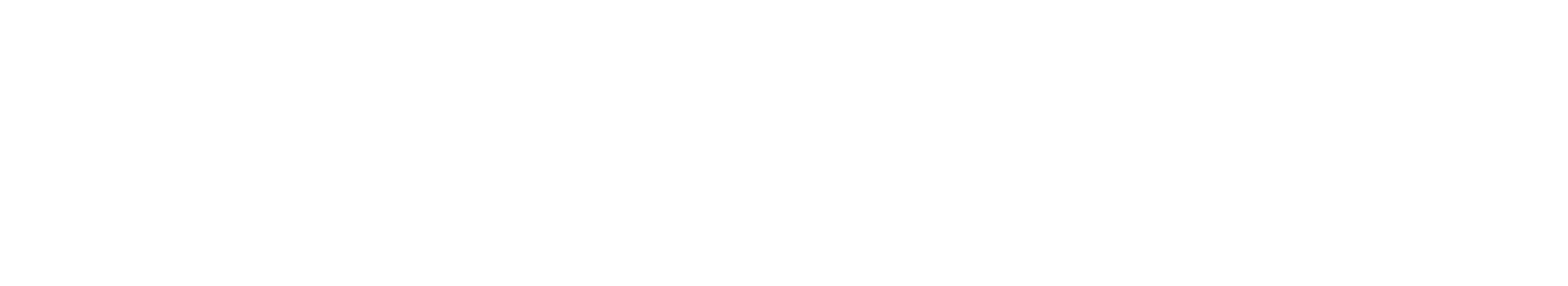 Quantum 610 Wireless